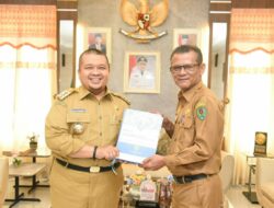 Pertama Kali, Tapsel Raih Penghargaan Dari Kementrian Kominfo RI Kategori Master Plan Smart City