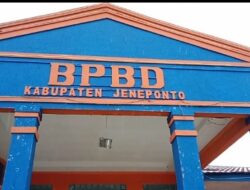 Kisruh Sapi dan BPBD Jeneponto Kian Memanas, Mencuat Masalah Baru