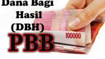 DBH PBB 2022 Belum Cair Desa di Lamsel Kesulitan Menyusun APBdes 2023 Untuk di Sahkan