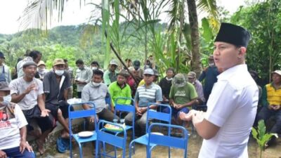 Petani di Desa Karangrejo Wadul ke Bupati Trenggalek Maraknya Serangan Burung Pipit