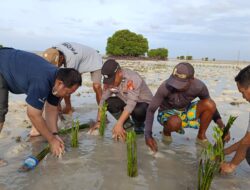 Kapolsubsektor Pulau Pari Tanam 10.000 Pohon Mangrove di Pantai Rengge Pulau Pari