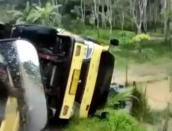 Kesal Tidak Kunjung Diperbaiki Diduga Warga Damit Tanam Pohon Pisang Di Jalan, Bahkan Truk Angkutan Batubara Terguling 