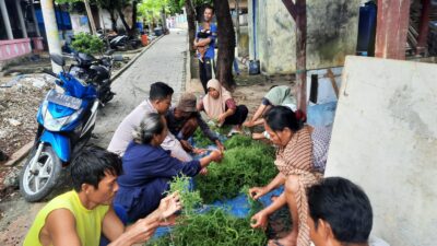 disela-sela-sambang,-pak-bhabin-pulau-lancang-turut-bantu-warga-memanen-rumput-laut