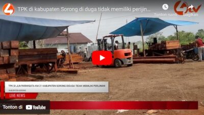 Tempat Penampungan Kayu di Jalan Pariwisata Kabupaten Sorong diduga tidak memiliki perijinan