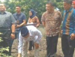 Bupati Tapsel Hadiri Penamatan SMAN 1 Sipirok Sekaligus Penanaman Toga