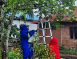 Dinas Pemadam Kebakaran Padang Sidempuan  Evakuasi Rumah Warga Dari Sarang Taon Di Tanabato