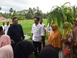 Pemko Padang Sidempuan Buat Kegiatan Sekolah Lapangan Tematik Pertanian Organik