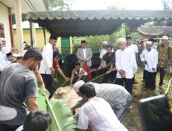 Bupati Tapsel dan Ketua TP PKK Salat Idul Adha di Arse Lalu Tinjau Kurban Ke Tiga Lokasi