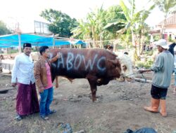 Prabowo Salurkan Puluhan Hewan Qurban ke Ponpes-ponpes dan Ormas Keagamaan di Jawa Barat