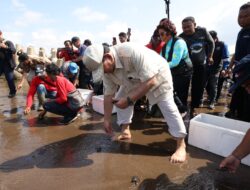 Jaga Ekosistem Laut, Prabowo Lepas Anak Penyu Bareng Susi dan Pandu Laut Nusantara di Pantai Pangandaran