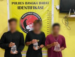 Konsumsi Alkohol, Tiga Pemuda Diamankan Patroli Sat Resnarkoba Polres Bangka Barat 