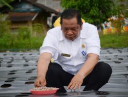Walikota Irsan Efendi Nasution Tanam Bawang Merah Perdana di Desa Sabungan Sipabangun