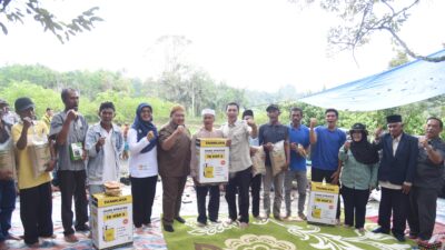 Bupati Tapsel Bersama Masyarakat Hadiri Penanaman Bibit Varietas Unggul Di Kecamatan Sipirok