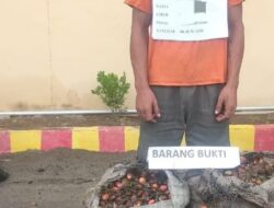 Curi Berondolan Di PT.Kerawi Jaya, LP Nginap” Dijeruji Besi